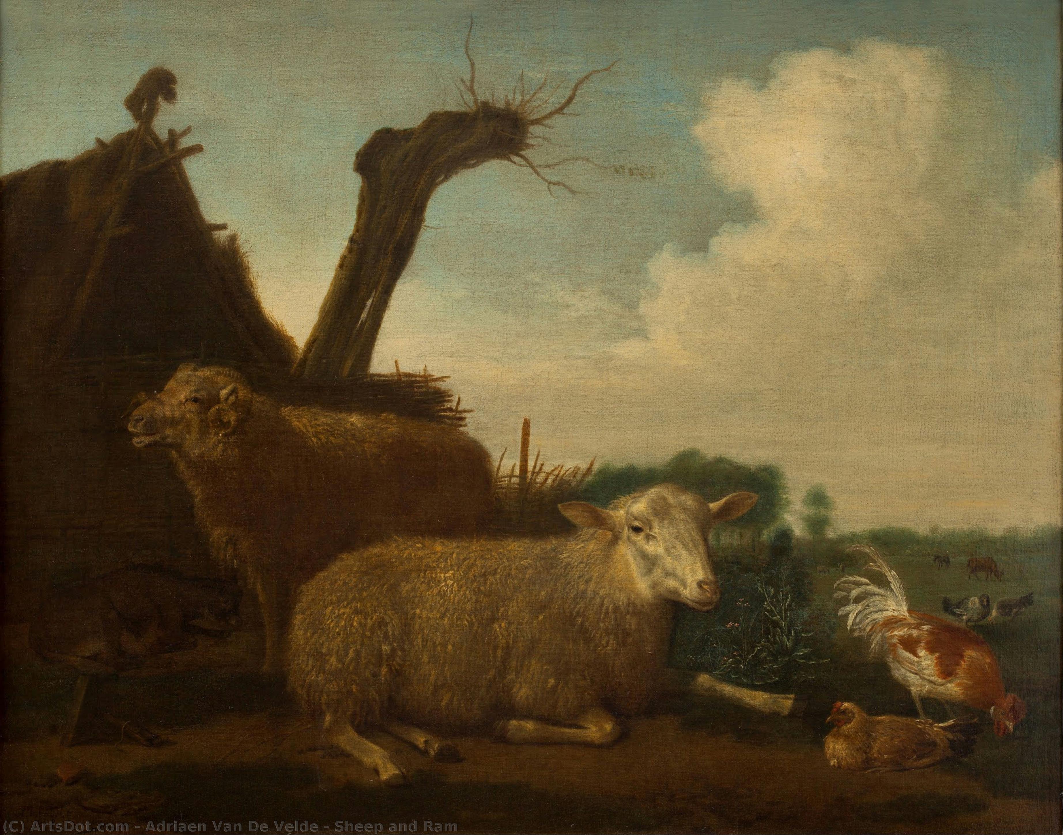 Sheep And Ram — Adriaen Van De Velde