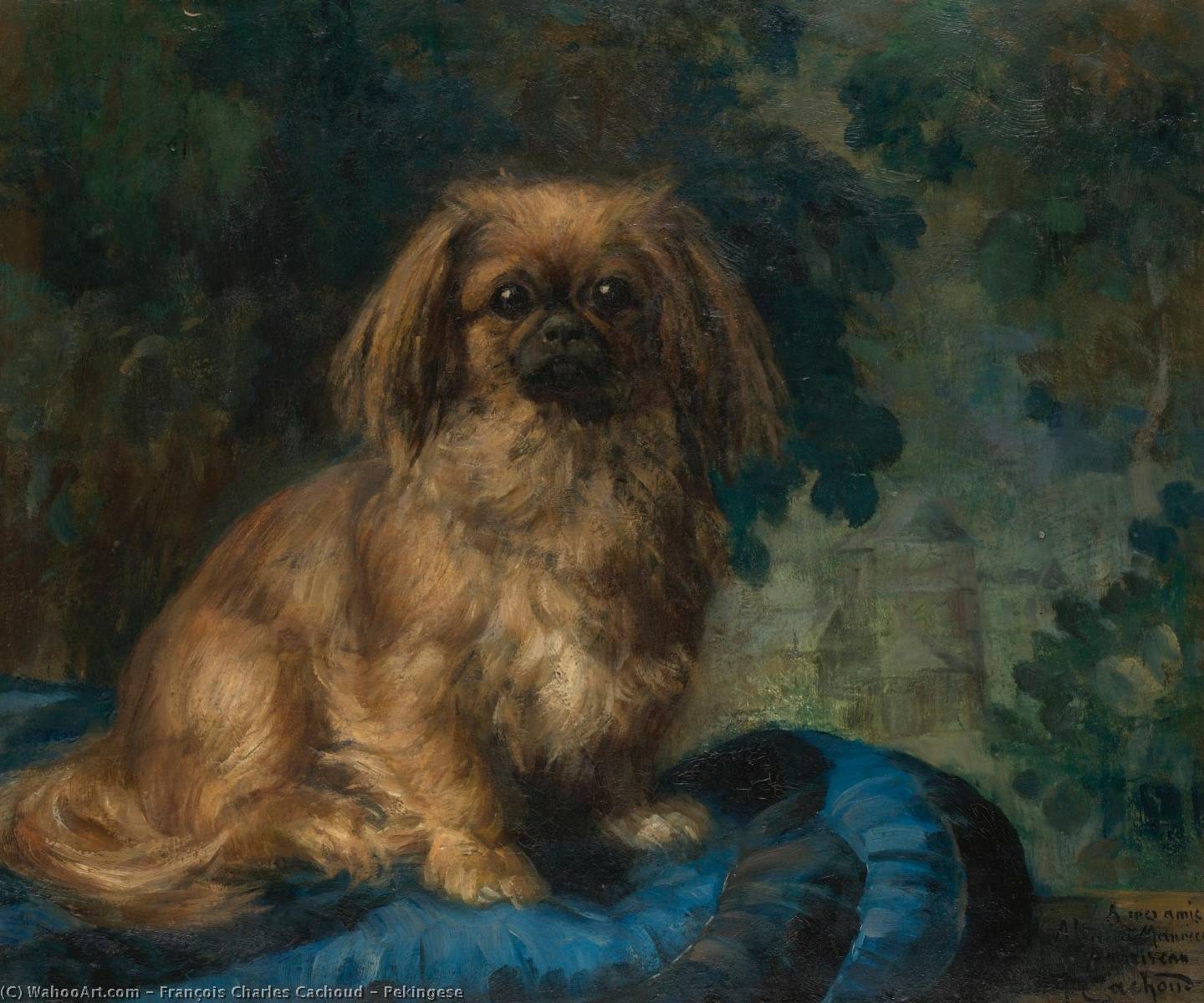 Pekingese — François Charles Cachoud