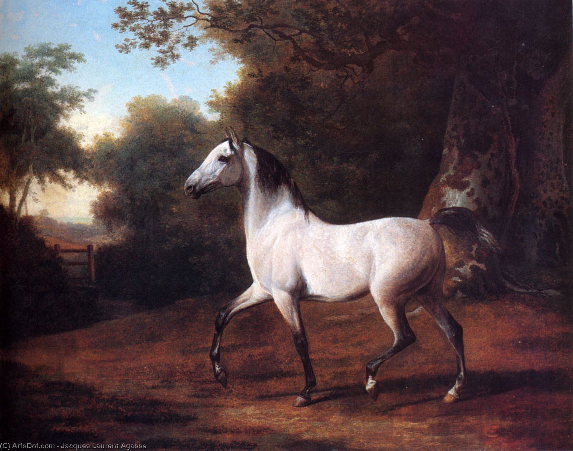 A Grey Arab Stallion In A Wooded Landscape — Jacques Laurent Agasse