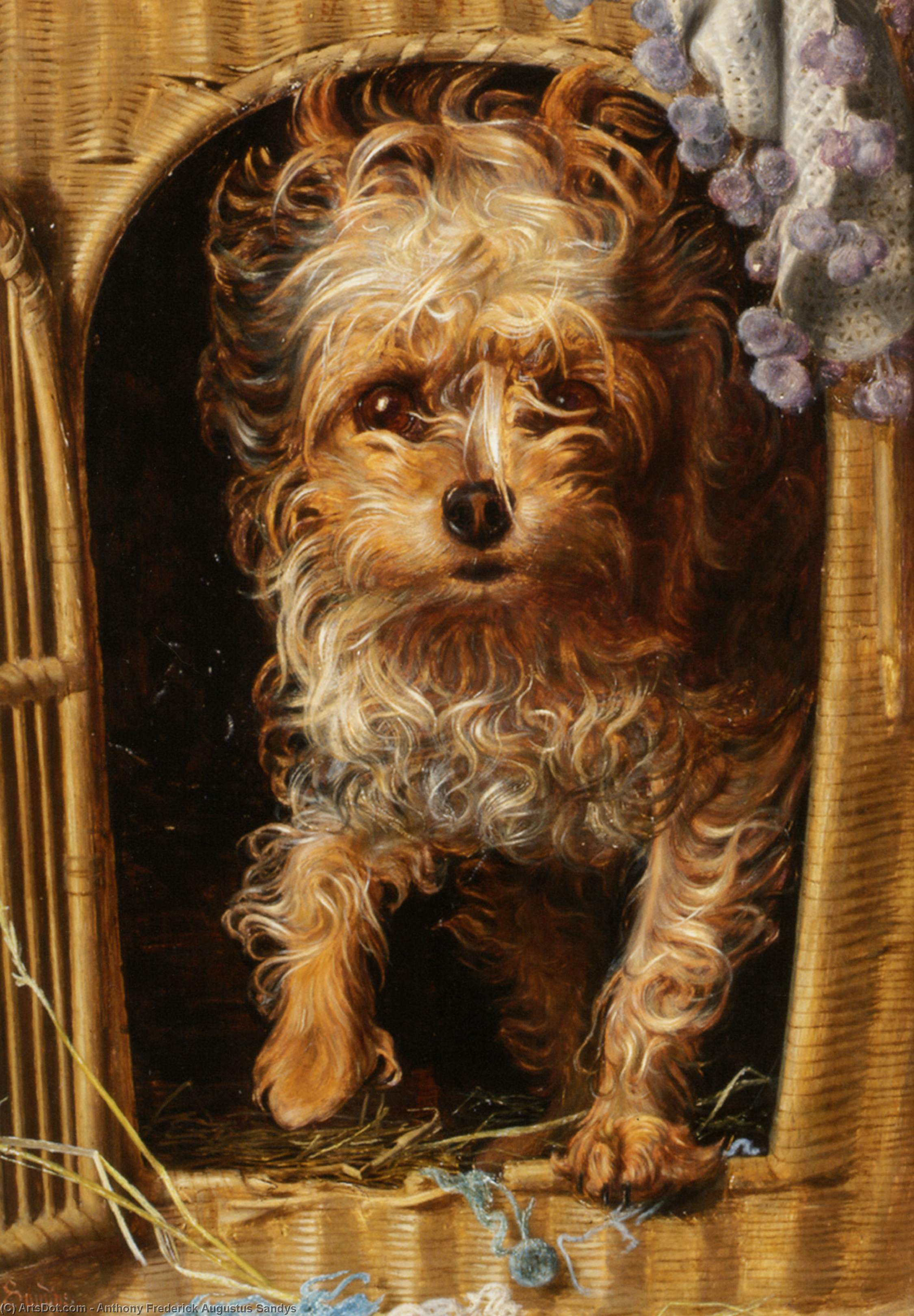 Darby In His Basket Kennel — Anthony Frederick Augustus Sandys