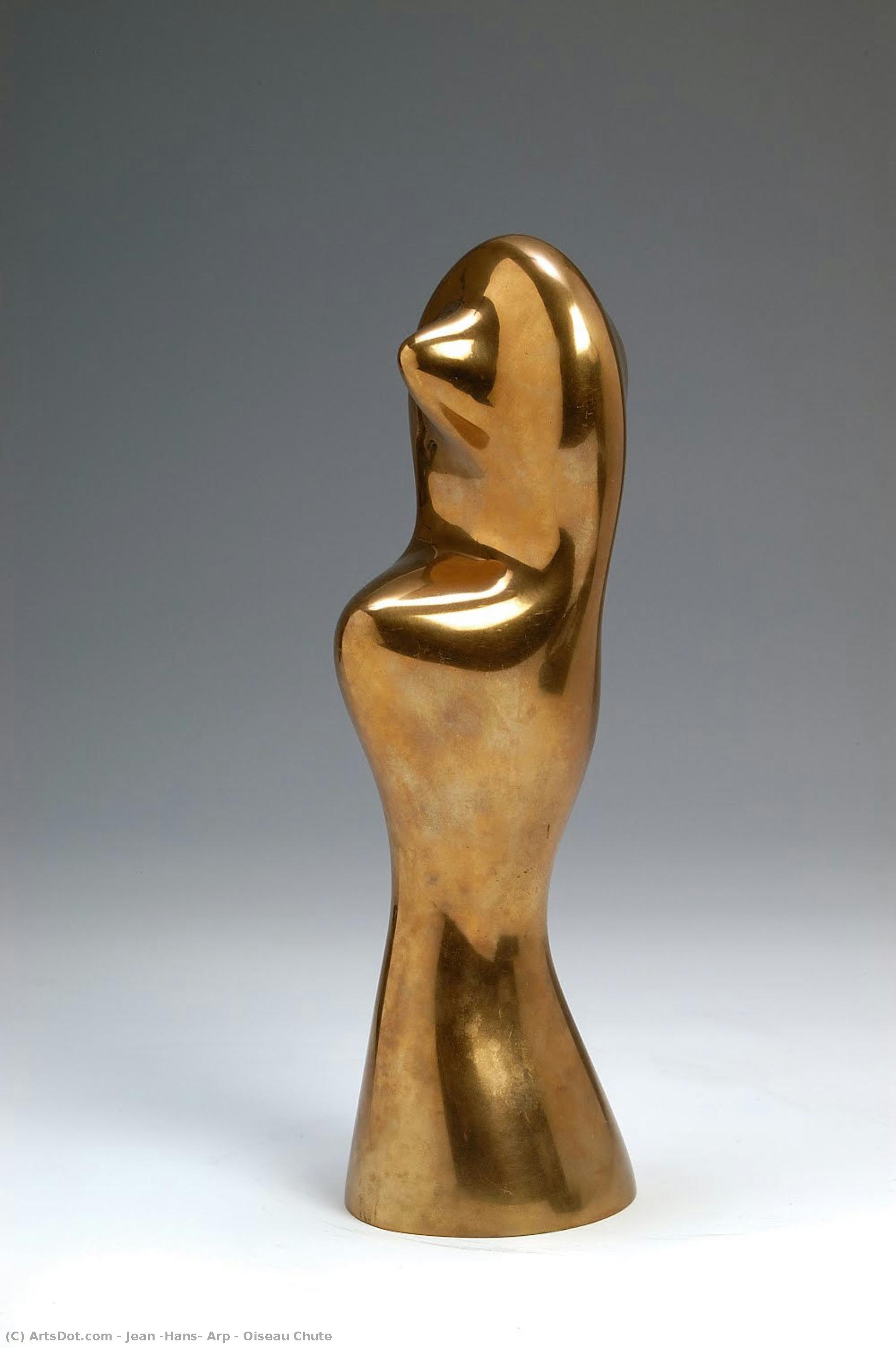 Oiseau Chute — Jean Arp