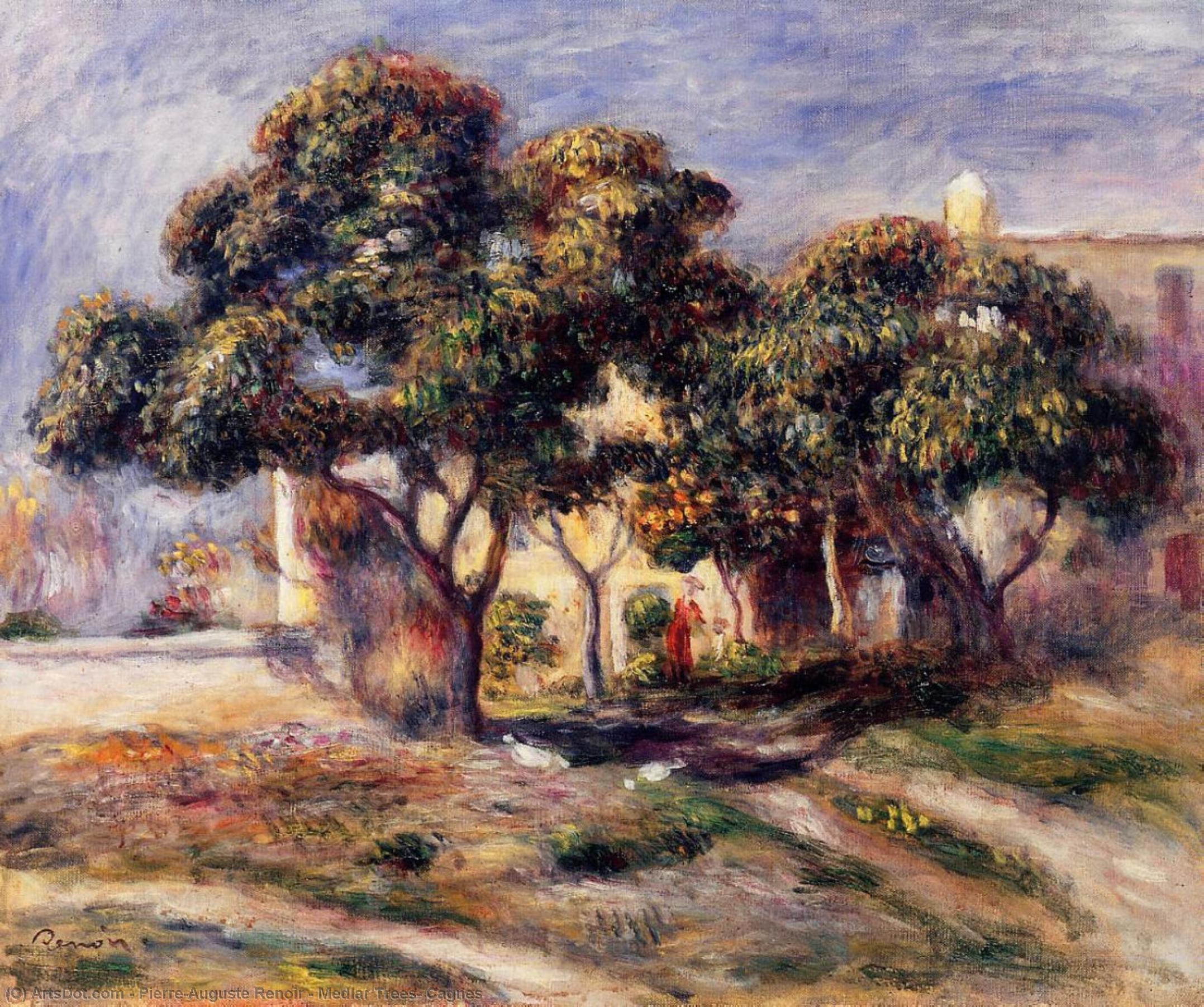 Medlar Trees, Cagnes — Pierre-auguste Renoir