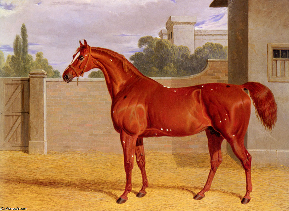 Comus — John Frederick Herring Senior