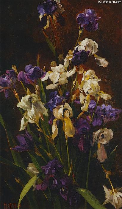Irises — Mathias Joseph Alten