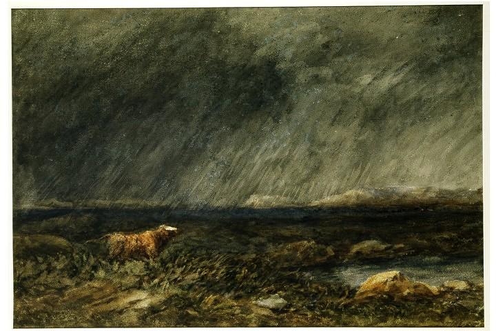 The Challenge. A Bull In A Storm On A Moor — David Cox