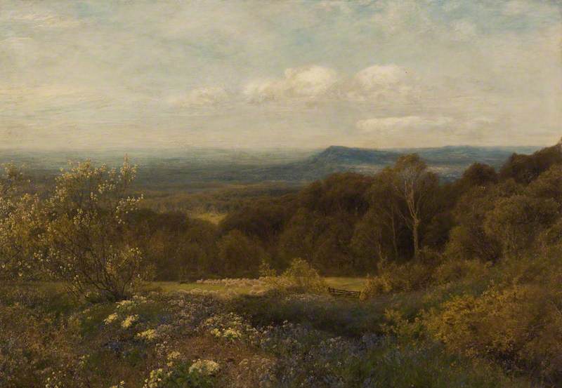 Surrey Flowers — John Clayton Adams