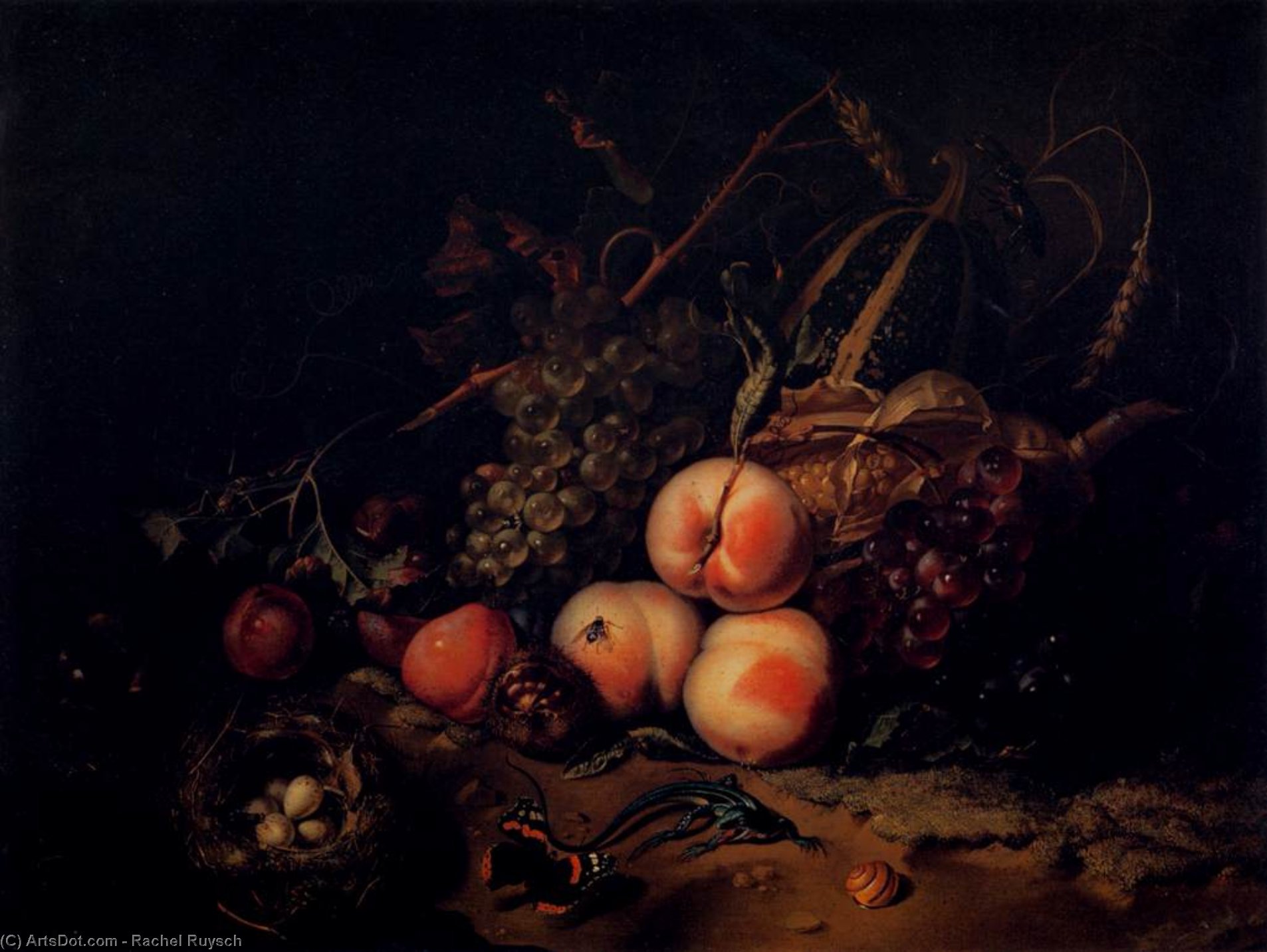 Still-life With Fruit And Insects — Rachel Ruysch