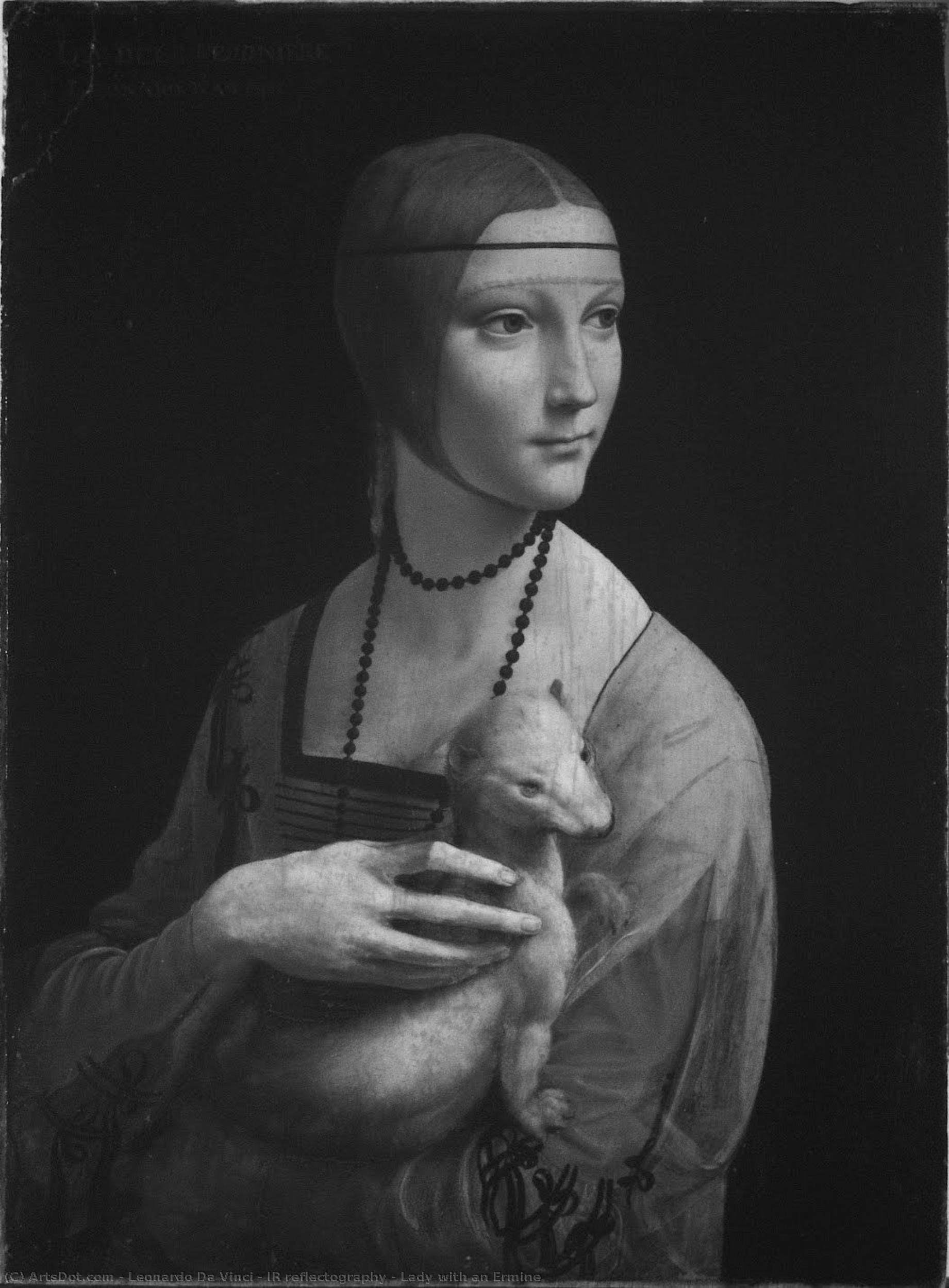 Ir Reflectography - Lady With An Ermine — Leonardo Da Vinci