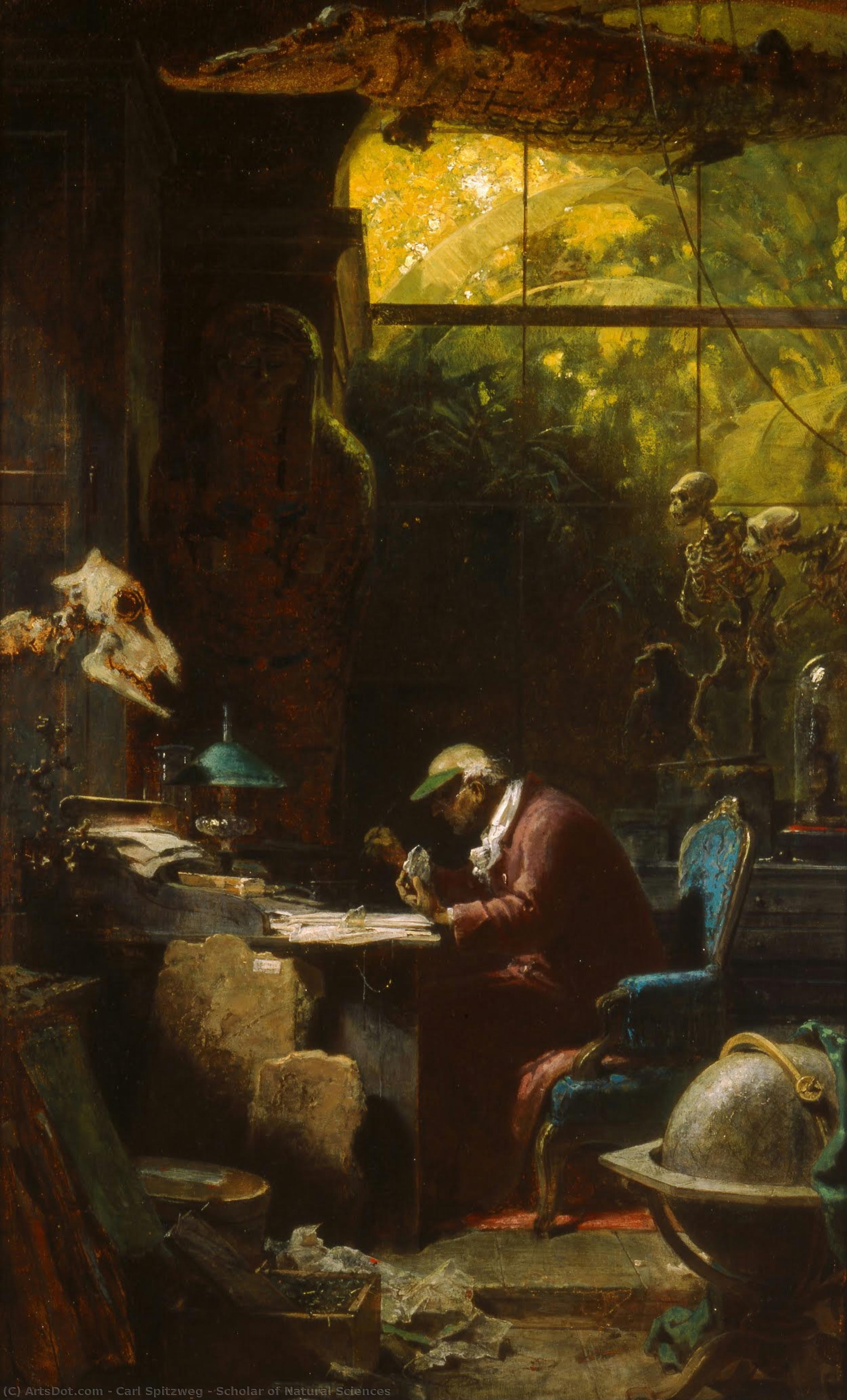 Scholar Of Natural Sciences — Carl Spitzweg
