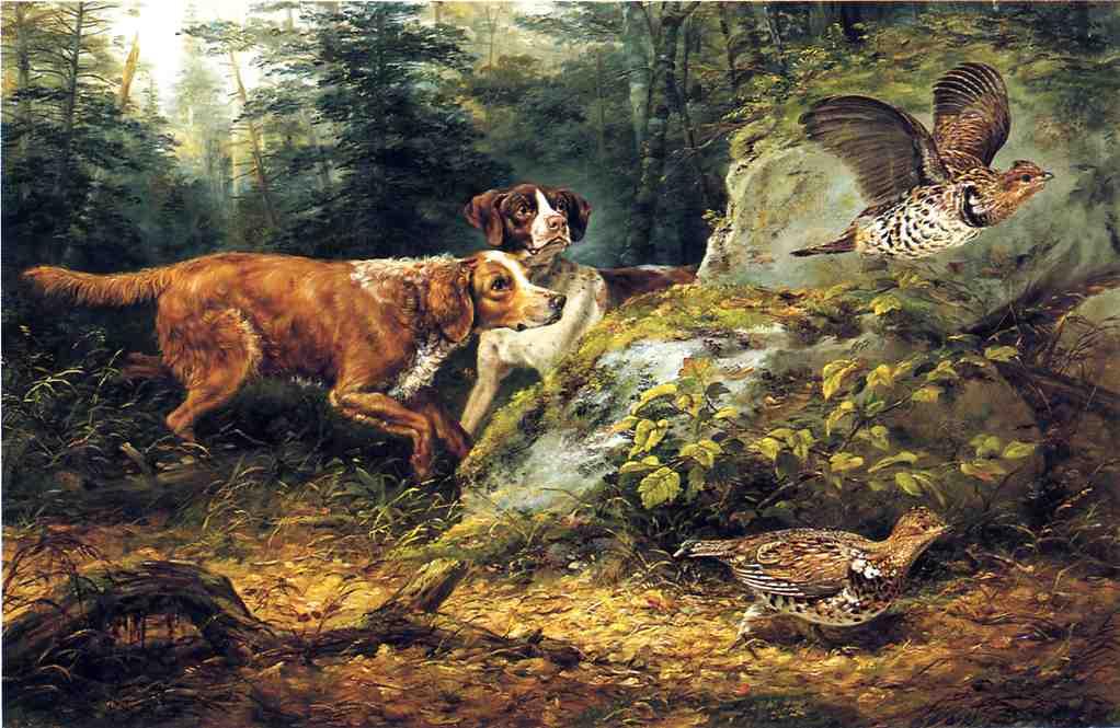 Flushed: Ruffed Grouse Shooting — Arthur Fitzwilliam Tait