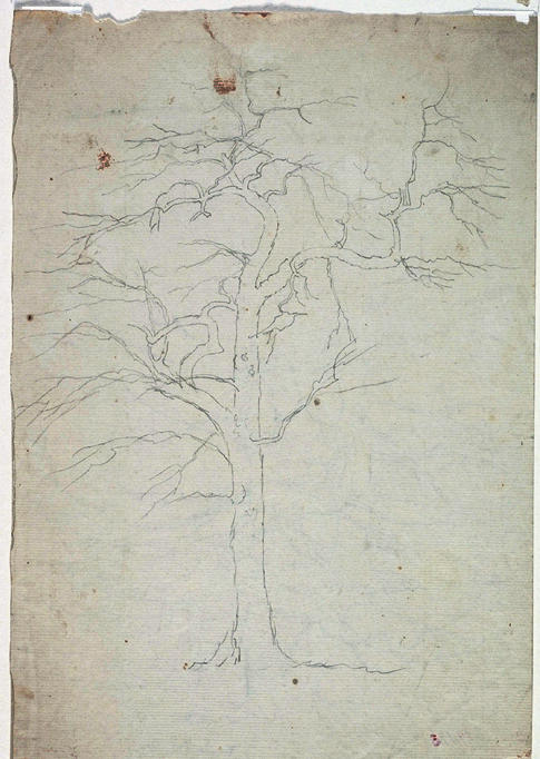 Tree8 — Thomas Cole