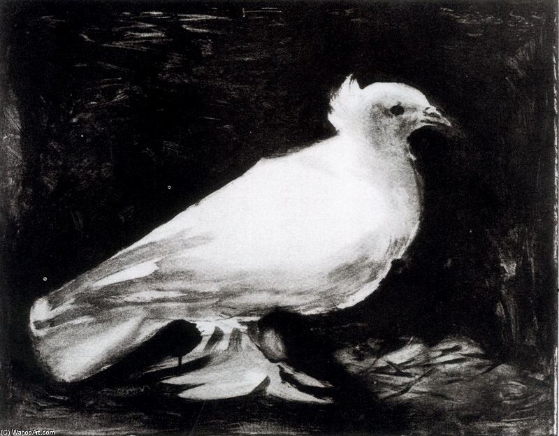 The Pigeon — Pablo Picasso