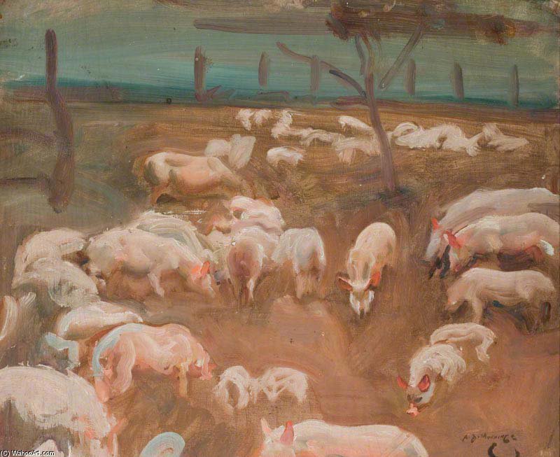 Study Of Pigs — Sir Alfred James Munnings