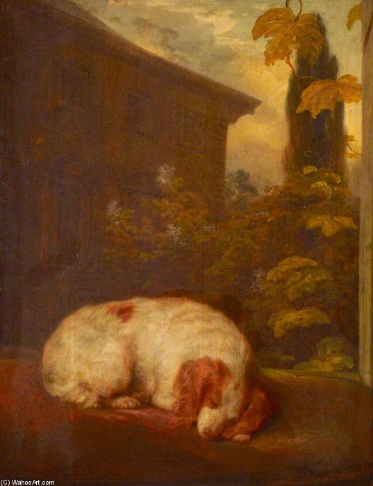 A Sleeping Spaniel Called 'belle' — Thomas Phillips