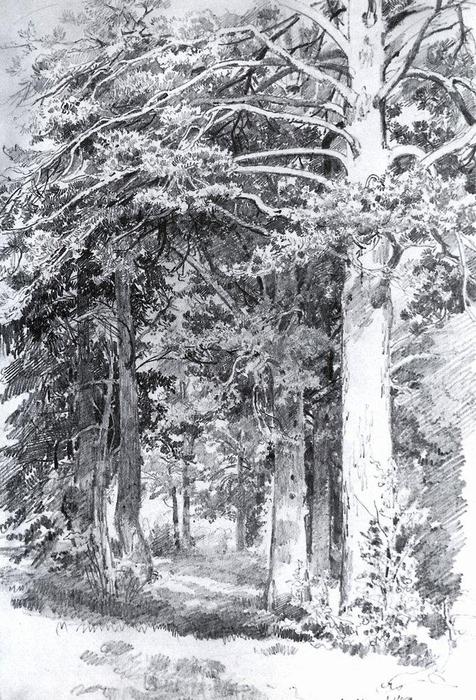 Pine Forest — Ivan Ivanovich Shishkin