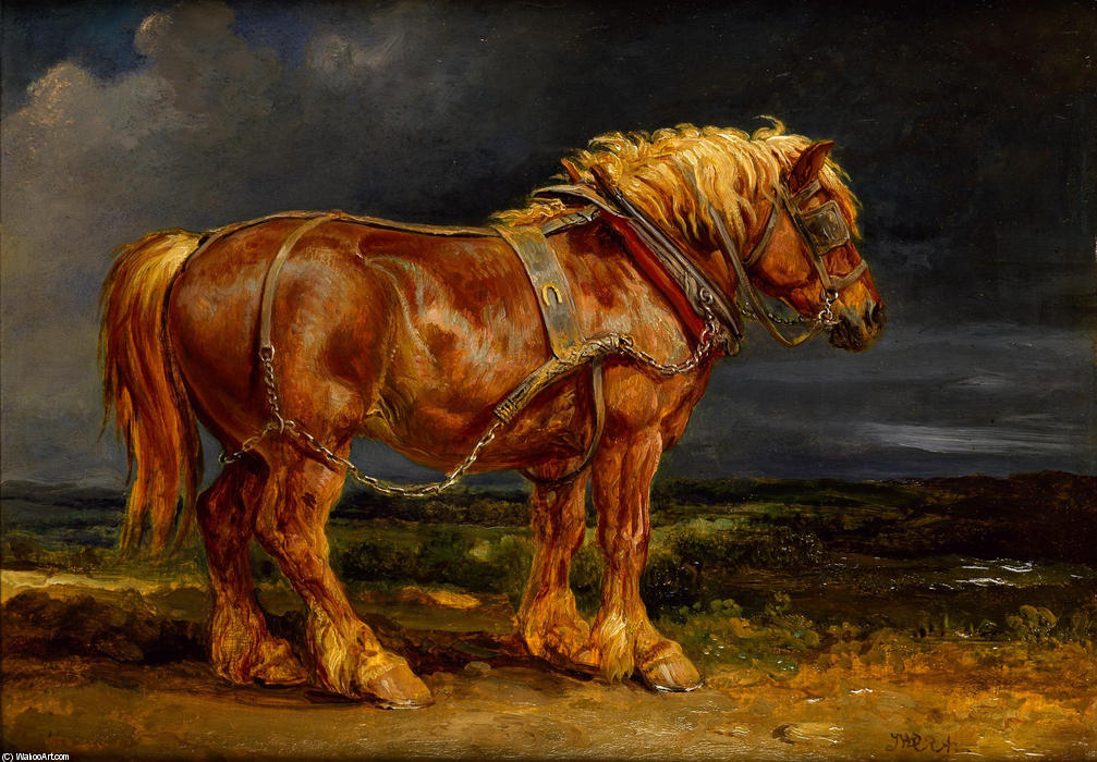Elephant — James Ward