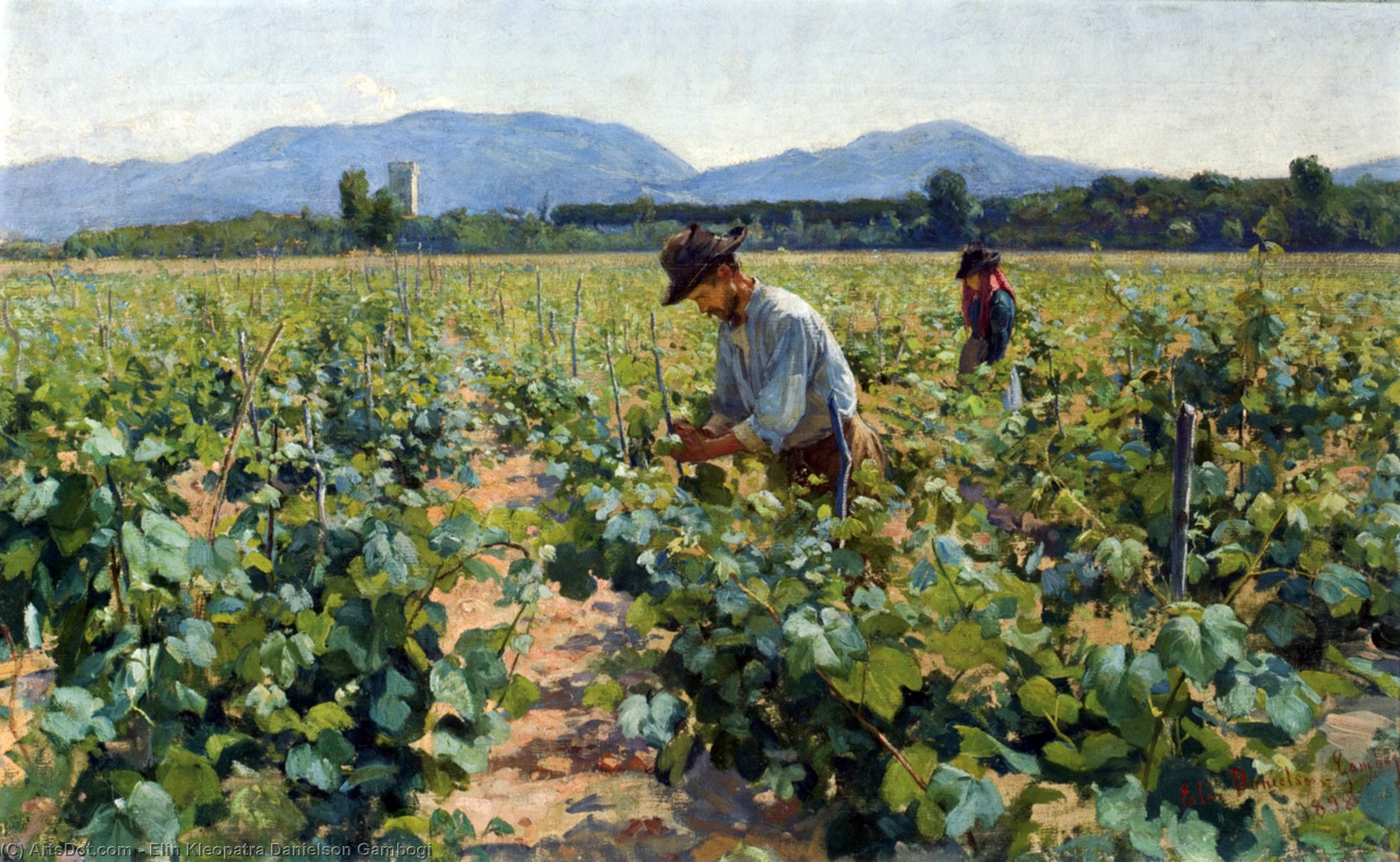 In The Vineyard — Elin Kleopatra Danielson-gambogi