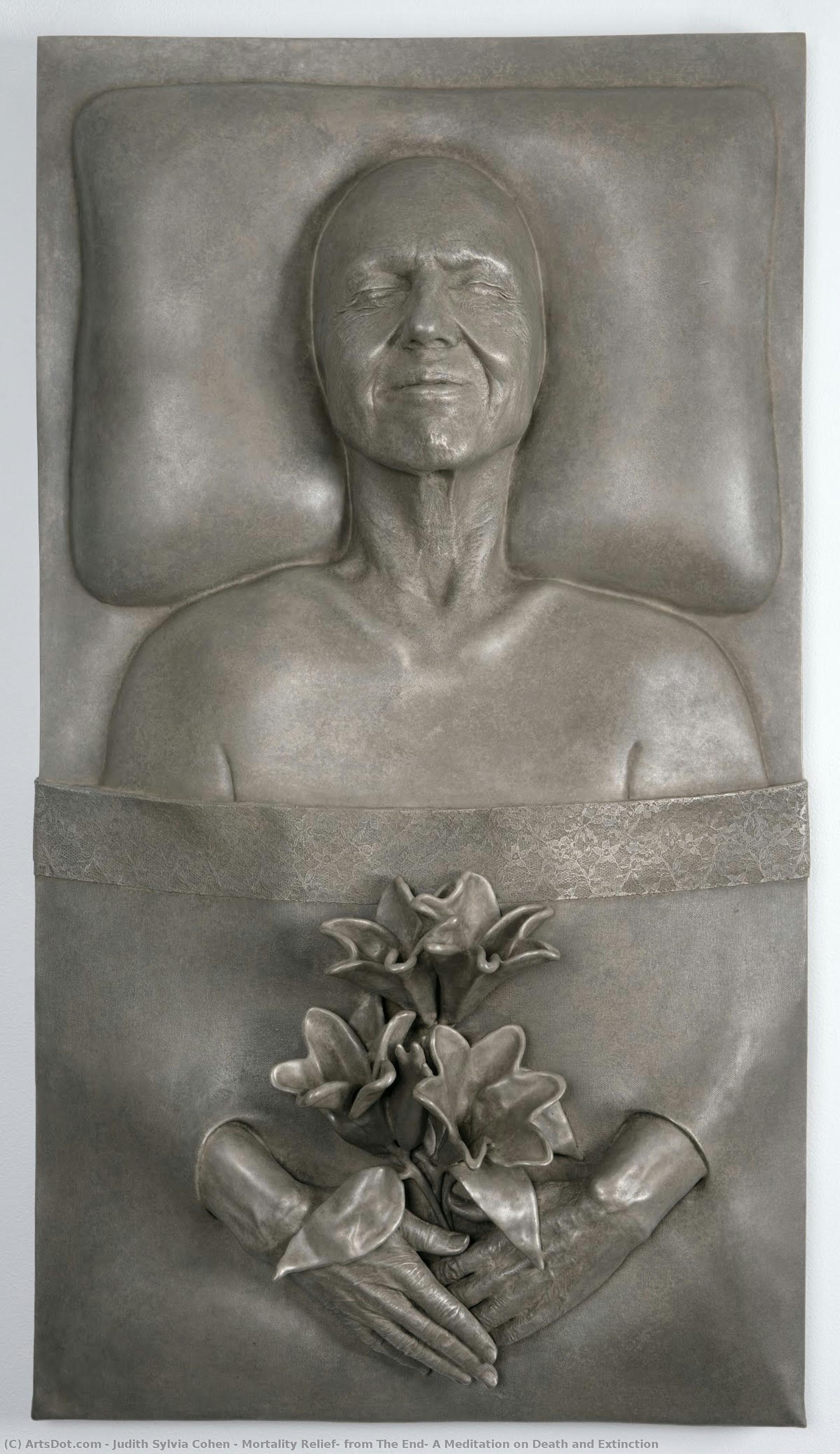 Mortality Relief, From The End: A Meditation On Death And Extinction — Judith Sylvia Cohen