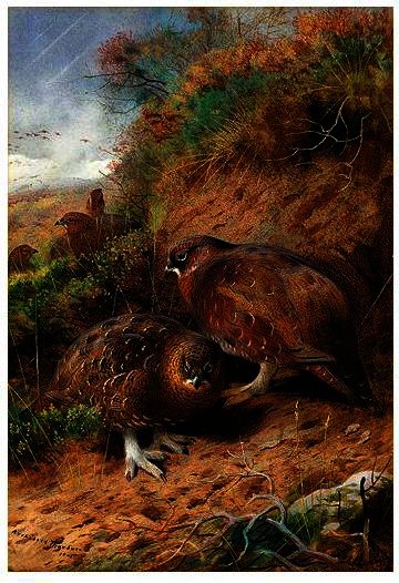 The Approach Of Winter — Archibald Thorburn