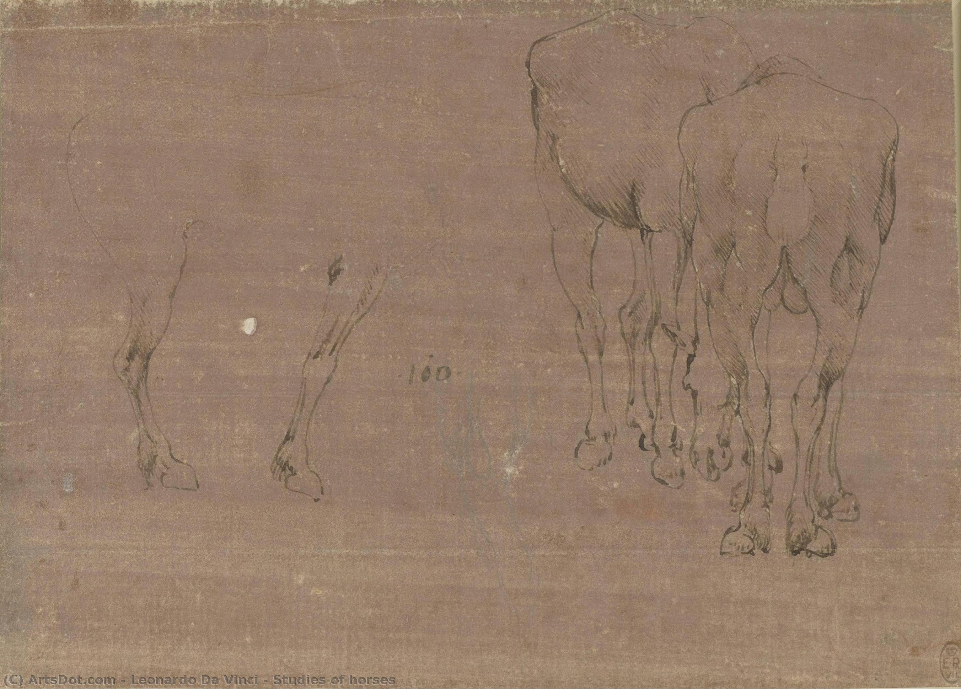 Studies Of Horses — Leonardo Da Vinci