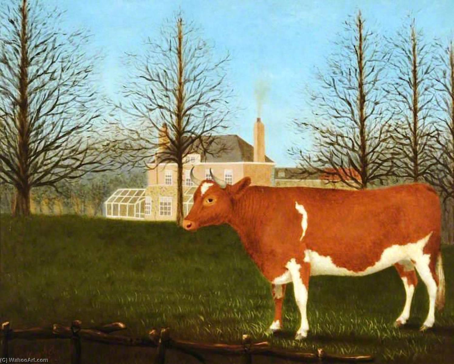 Guernsey Heifer Behind Manoir De Pierre Percee — Denys Corbet