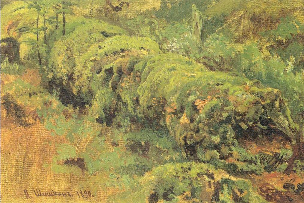Mossy Punk Wood — Ivan Ivanovich Shishkin