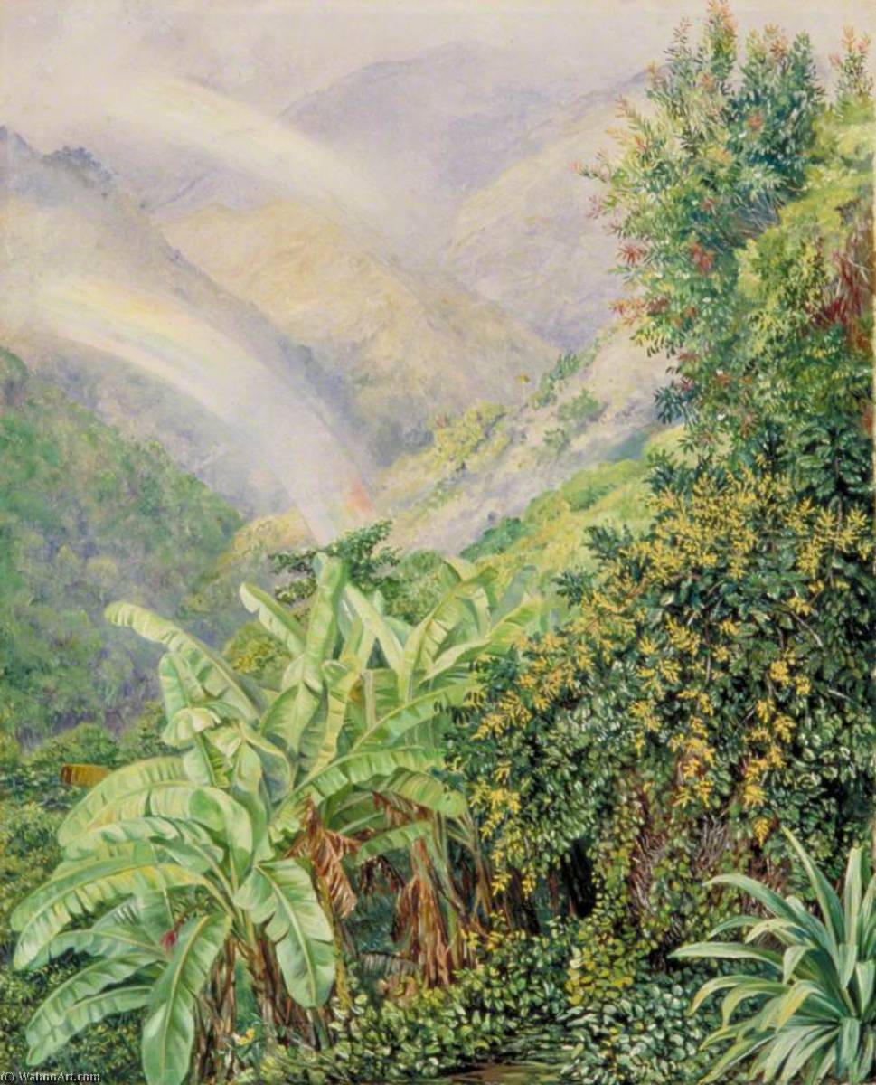 View Of The Artist's House In Jamaica With A Double Rainbow — Marianne North