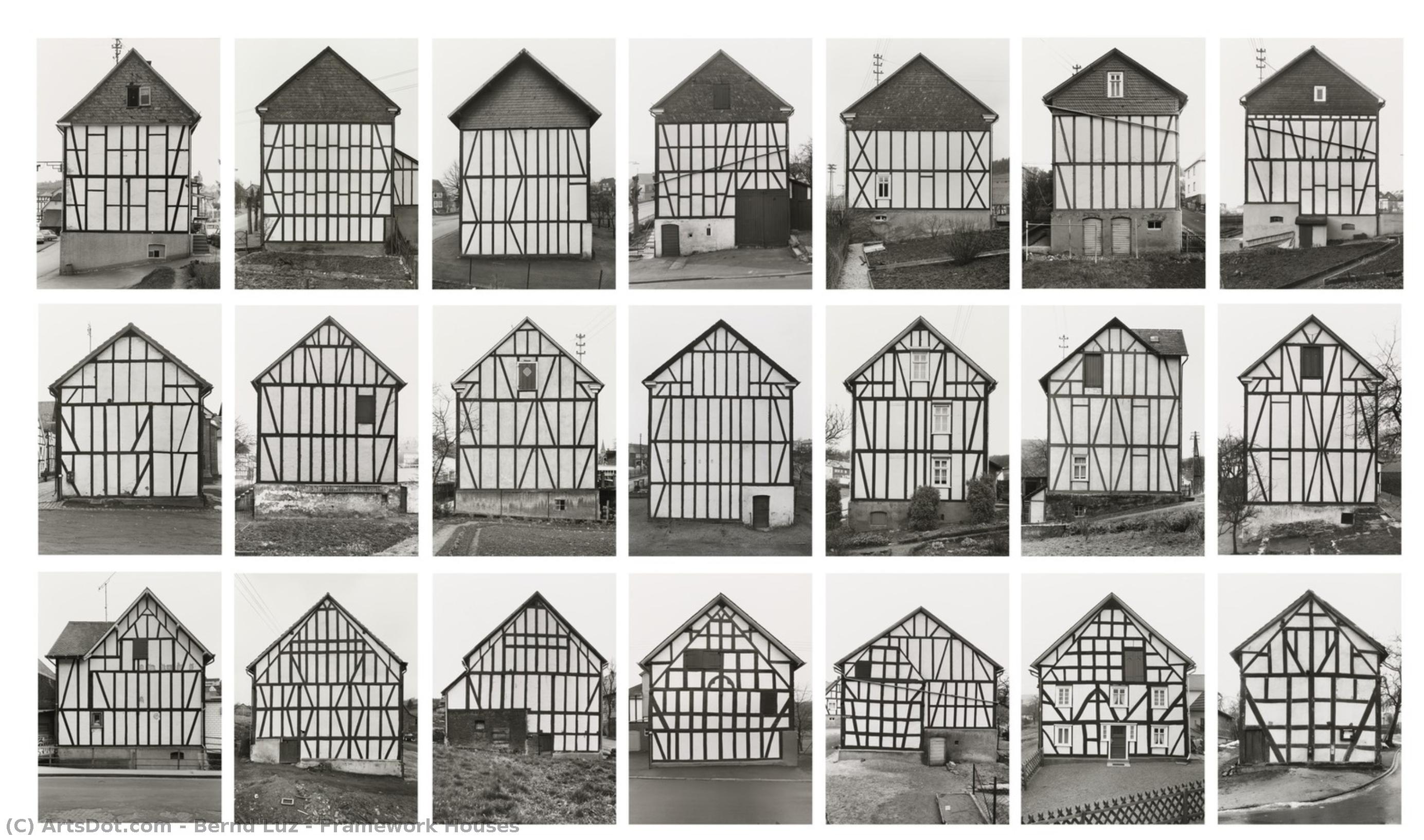 Framework Houses — Bernd Luz