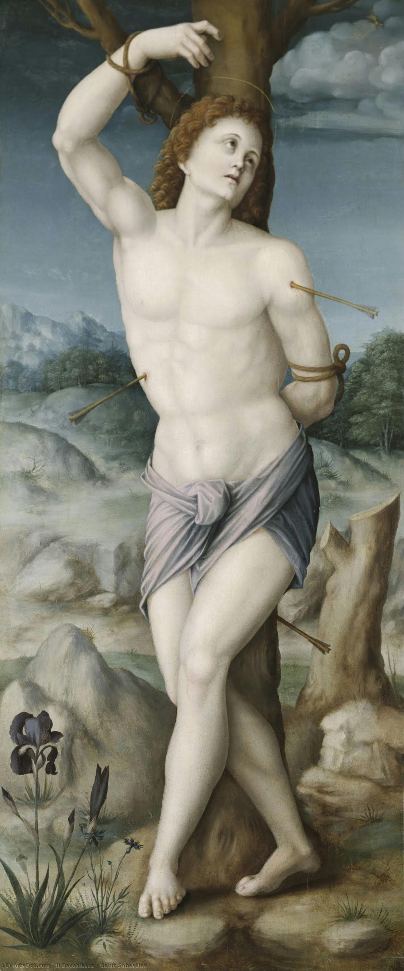 Saint Sebastian — Il Bacchiacca