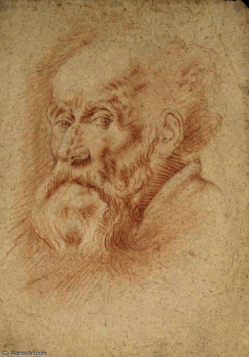 Tête D'homme Barbu — Giambattista Tiepolo
