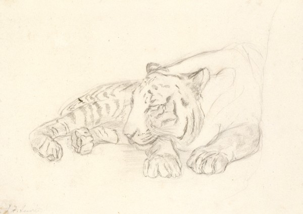 A Sleeping Tiger — John Frederick Lewis