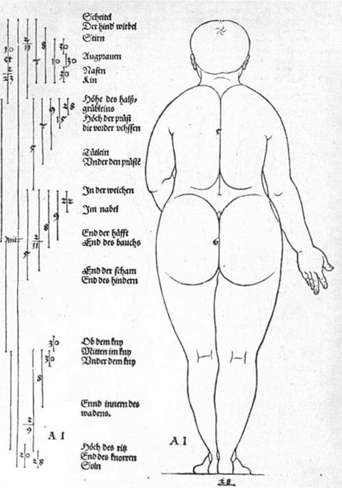 Rear View Of The Female — Albrecht Dürer