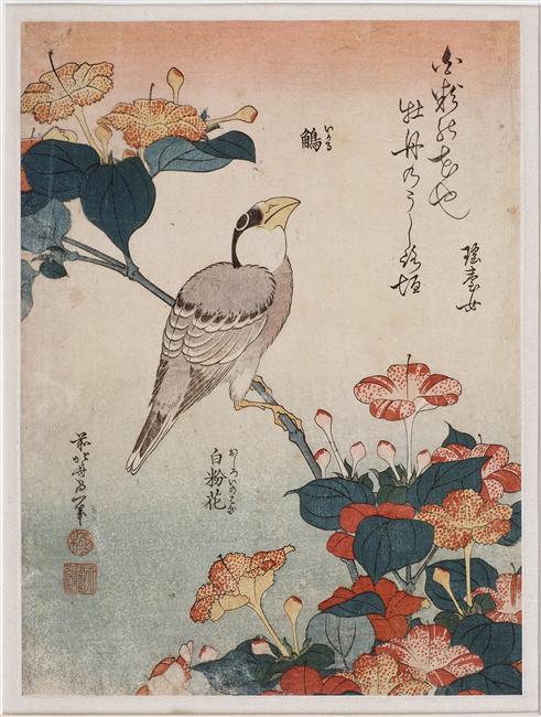 Big Beak And Mirabilis — Katsushika Hokusai
