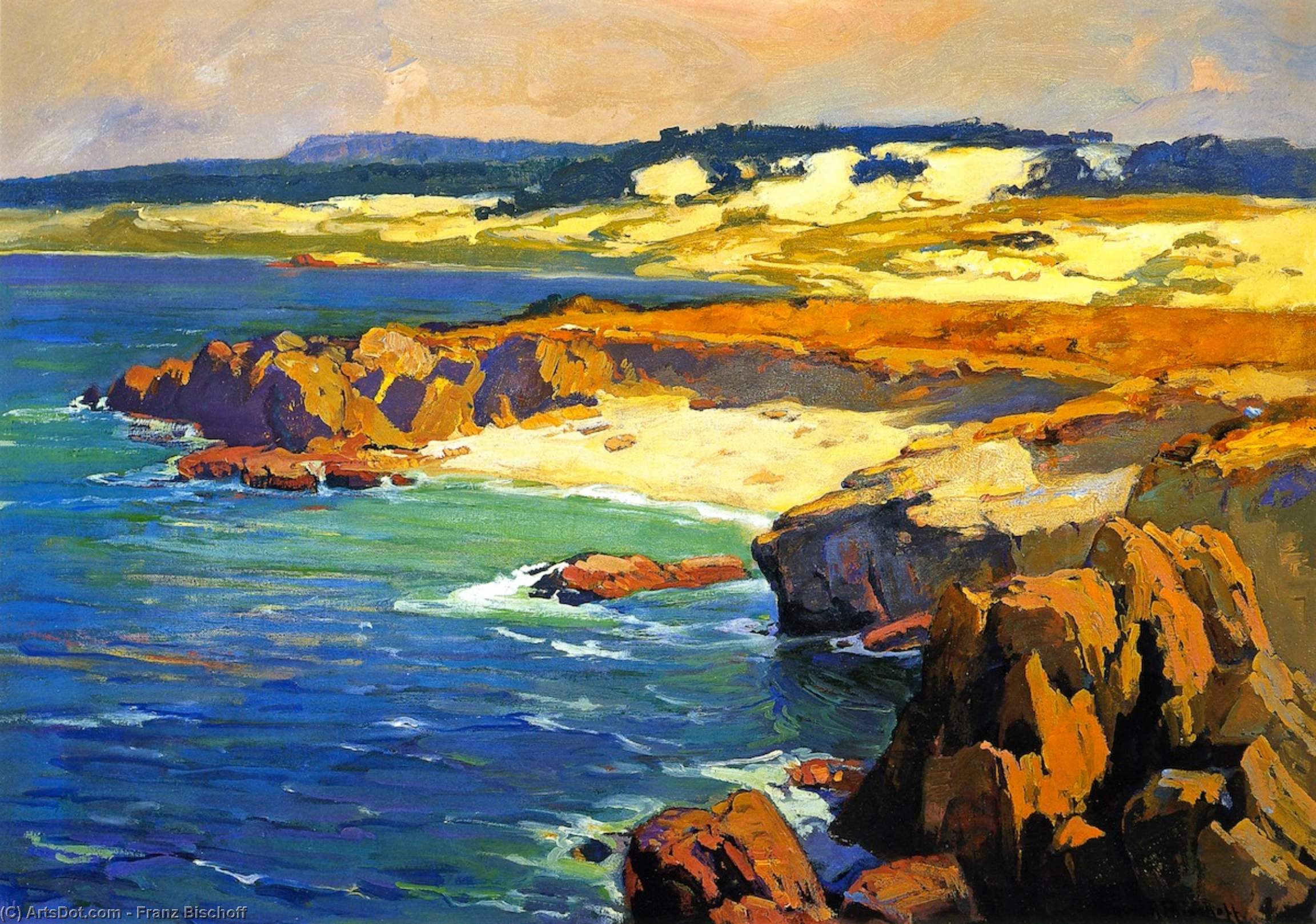 Sand Dunes And Rocky Coast — Franz Bischoff