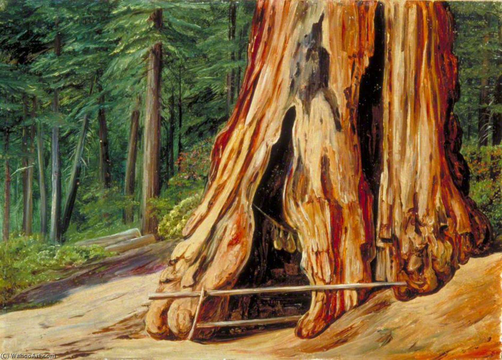 Home Of An Old Trapper In The Trunk Of A Big Tree, Calaveras Grove, California — Marianne North