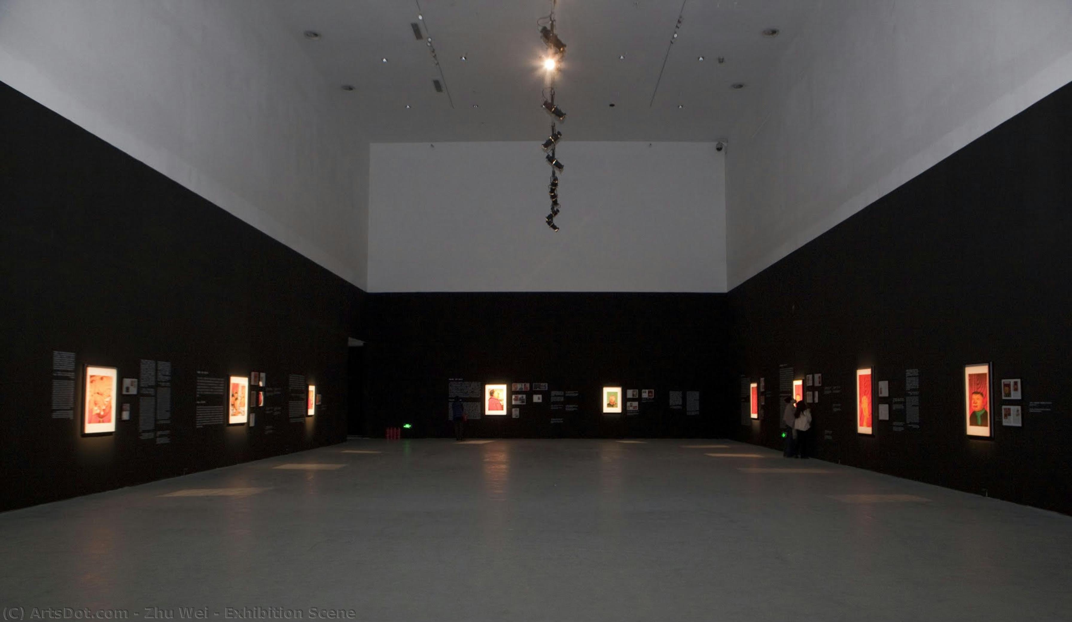 Exhibition Scene — Zhu Wei