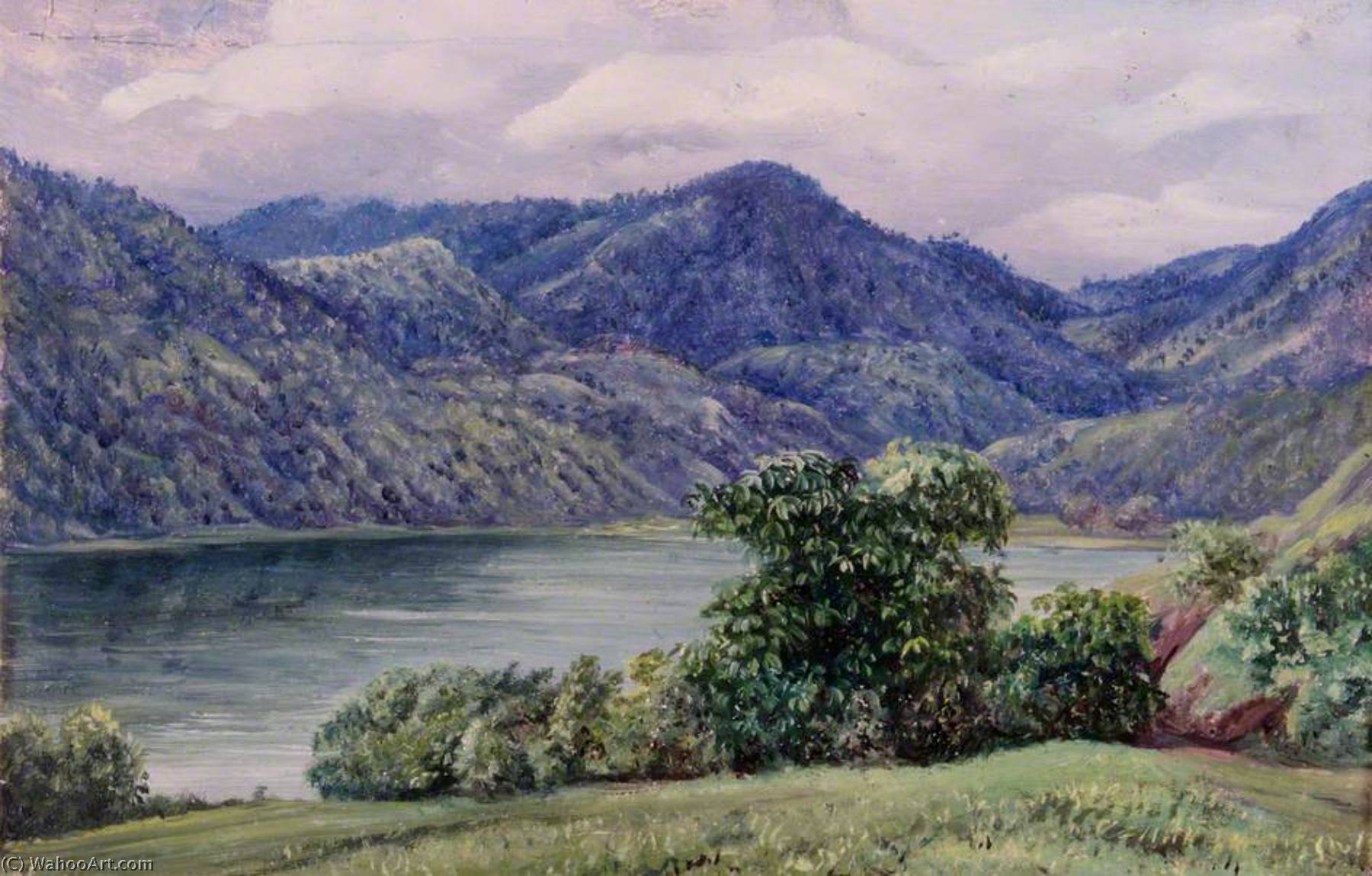 Mr Moffat's Farm, Queensland — Marianne North
