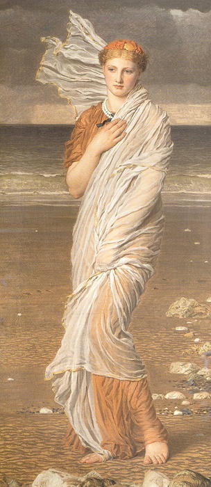 Shells — Albert Joseph Moore