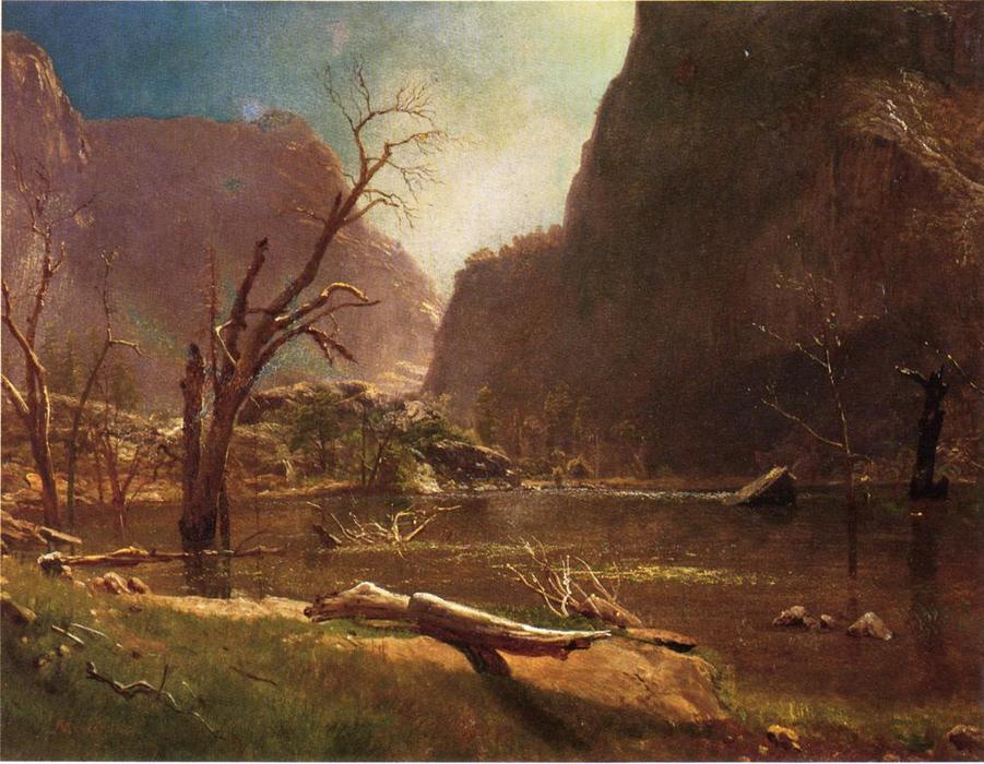 Hatch Hatchy Valley, California — Albert Bierstadt