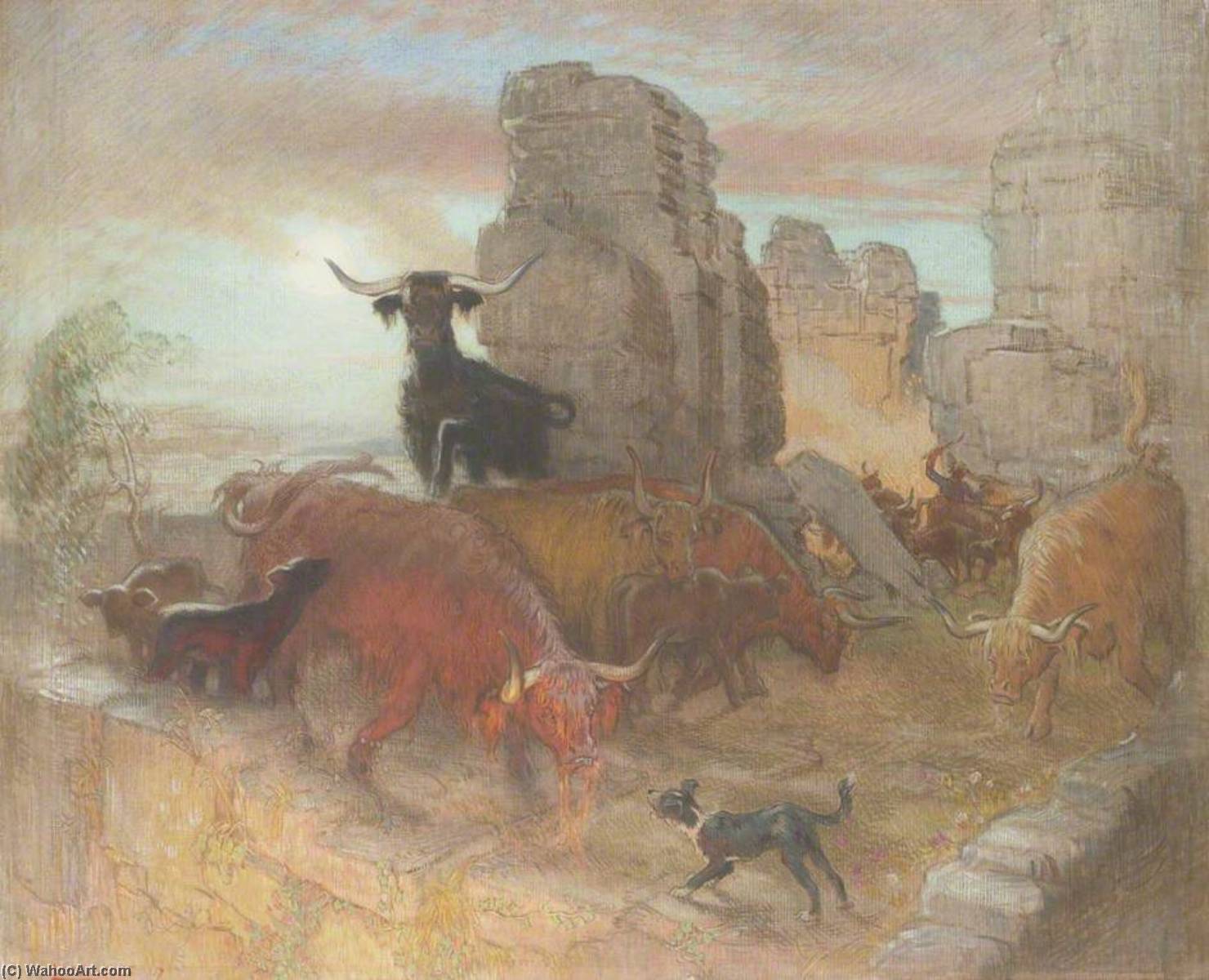 Highland Raiders Goredale Scar — William Shackleton