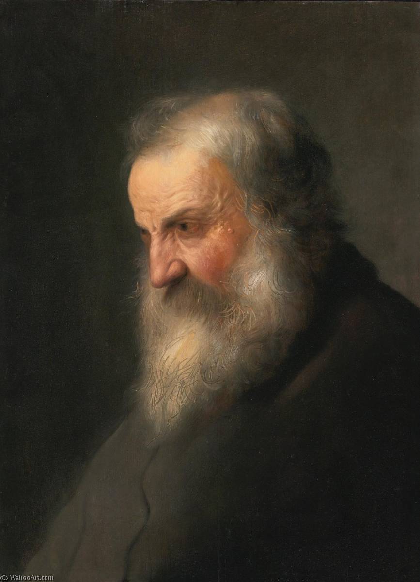 Head Of An Old Man — Jan Andrea Lievens Jan Lievens