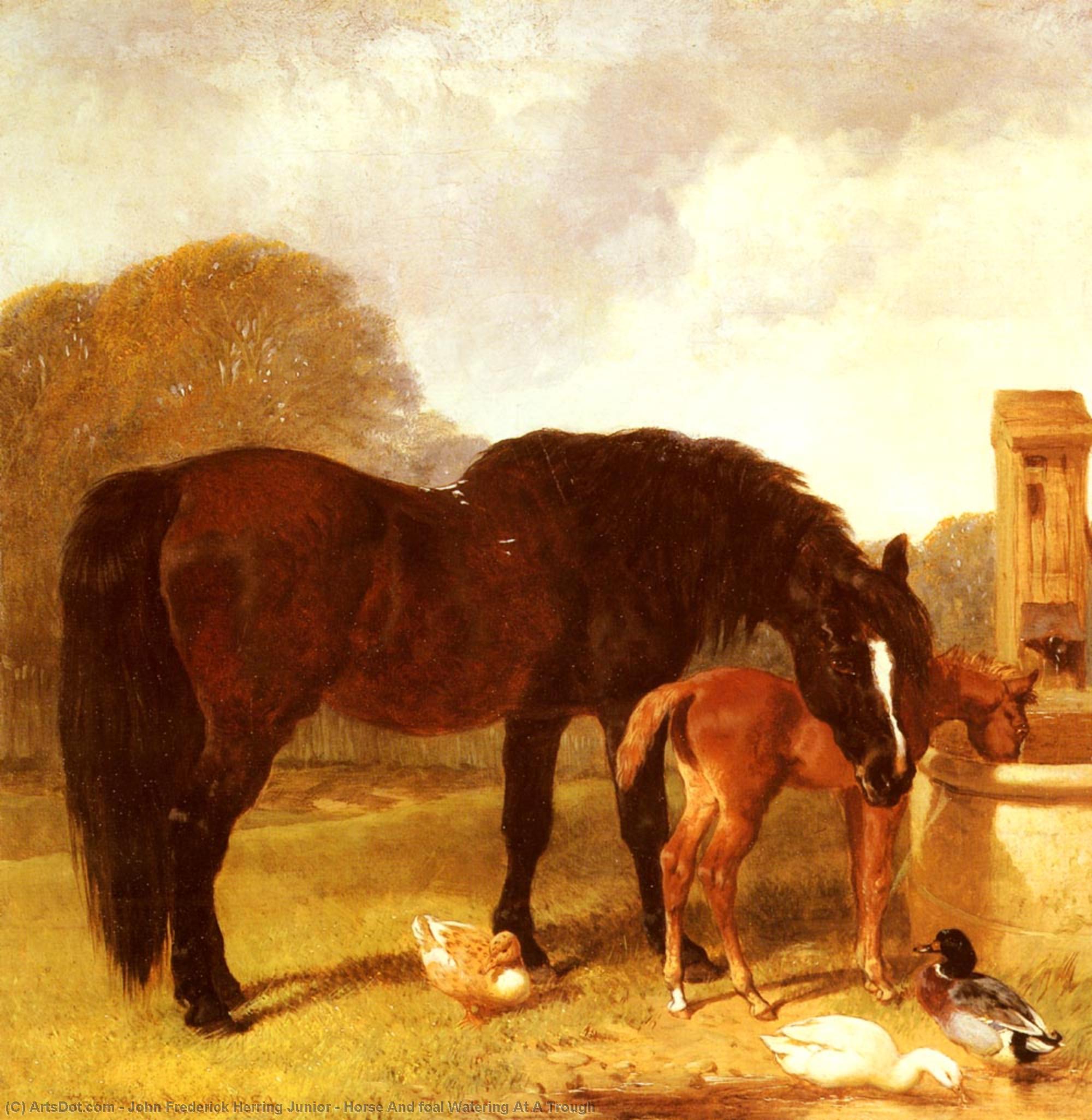 Horse And Foal Watering At A Trough — John Frederick Herring Junior