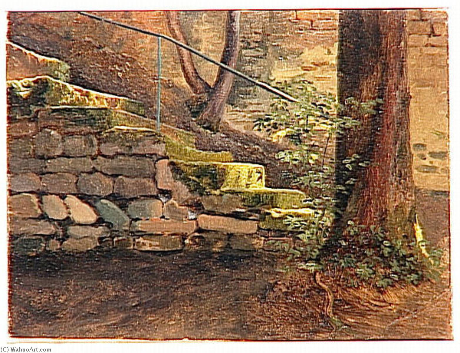 L'escalier De Pierres Recouvert De Mousse — Pierre De Valenciennes