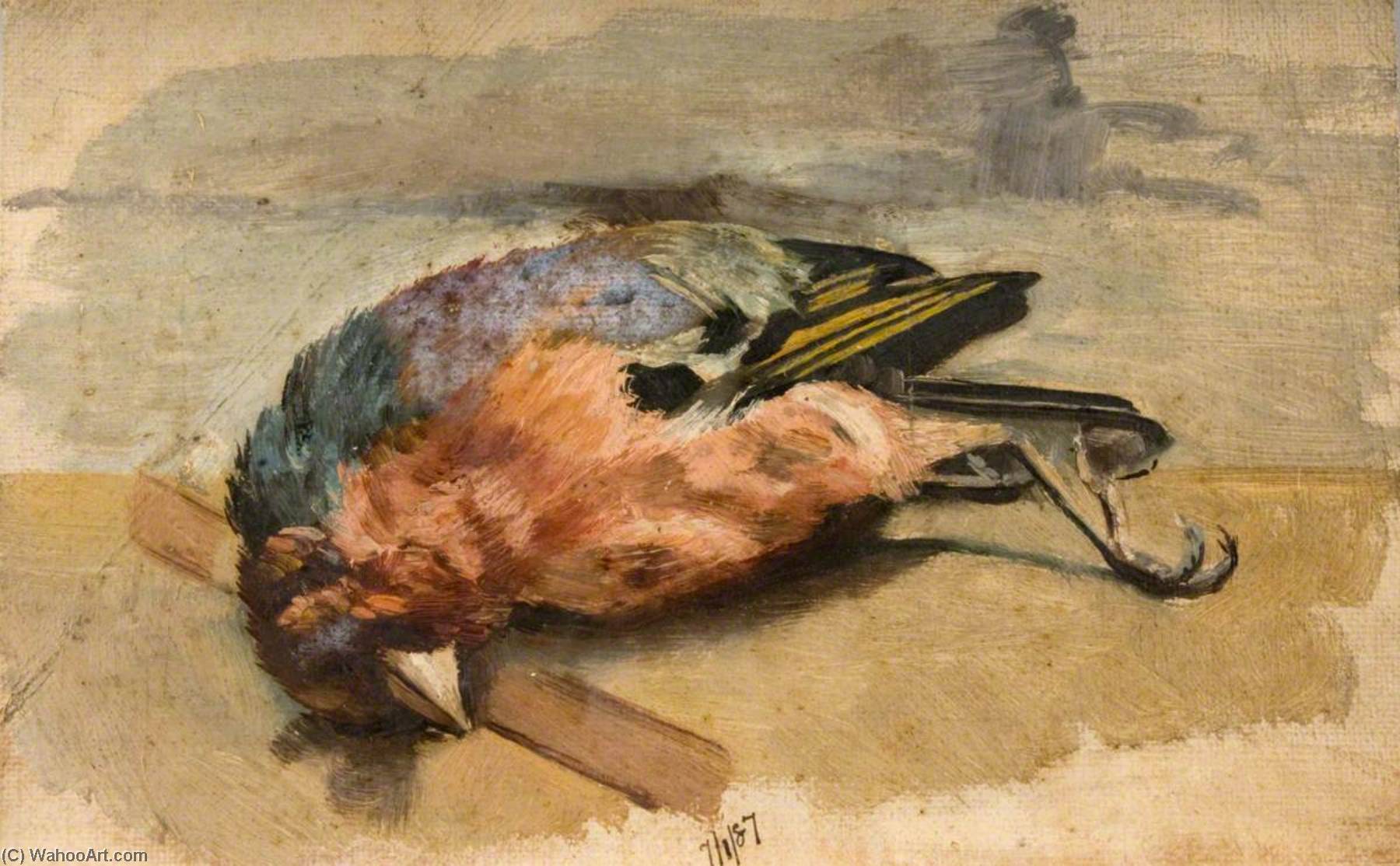 Study Of A Dead Chaffinch — George Cartlidge