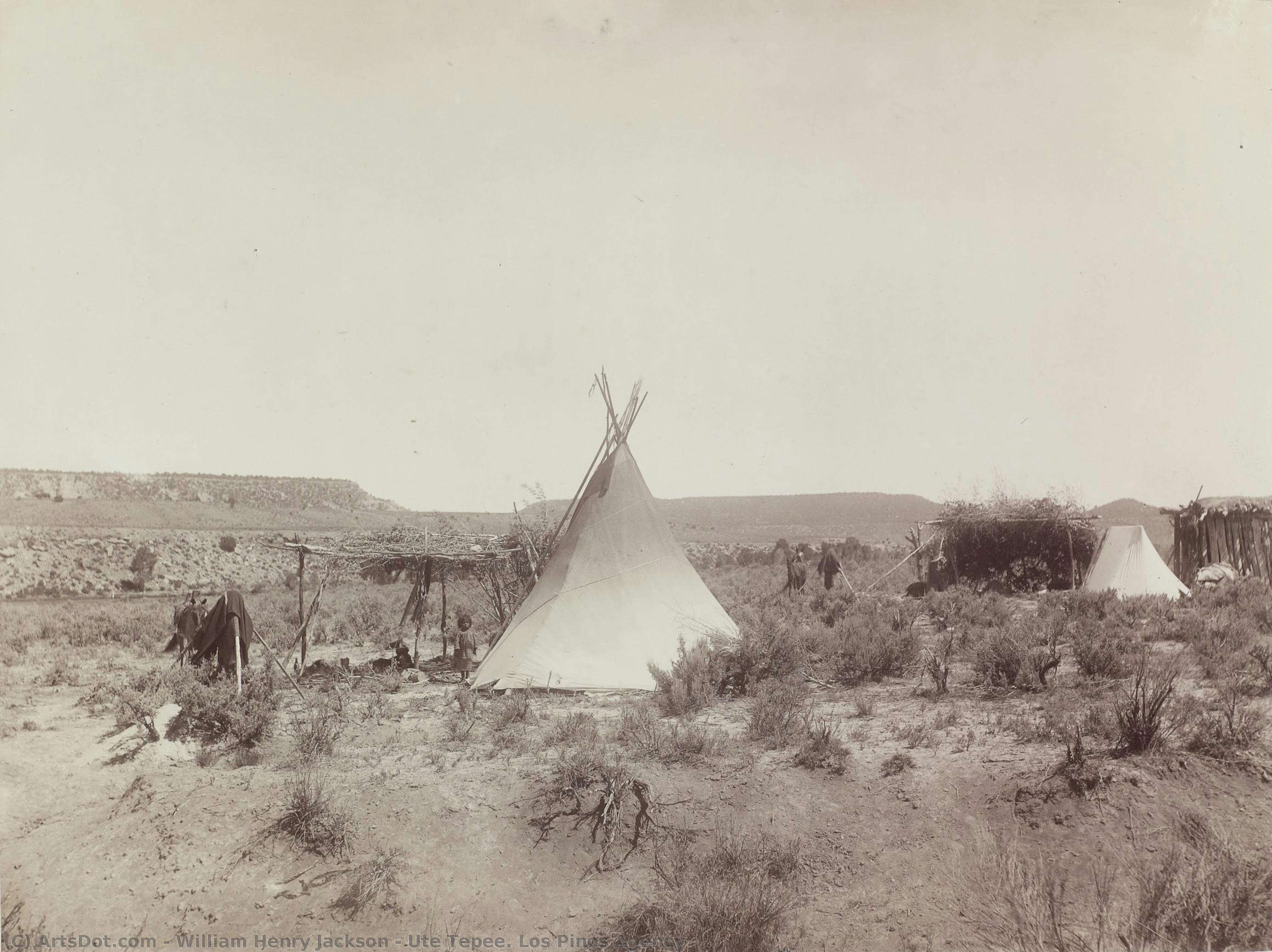 Ute Tepee. Los Pinos Agency — William Henry Jackson
