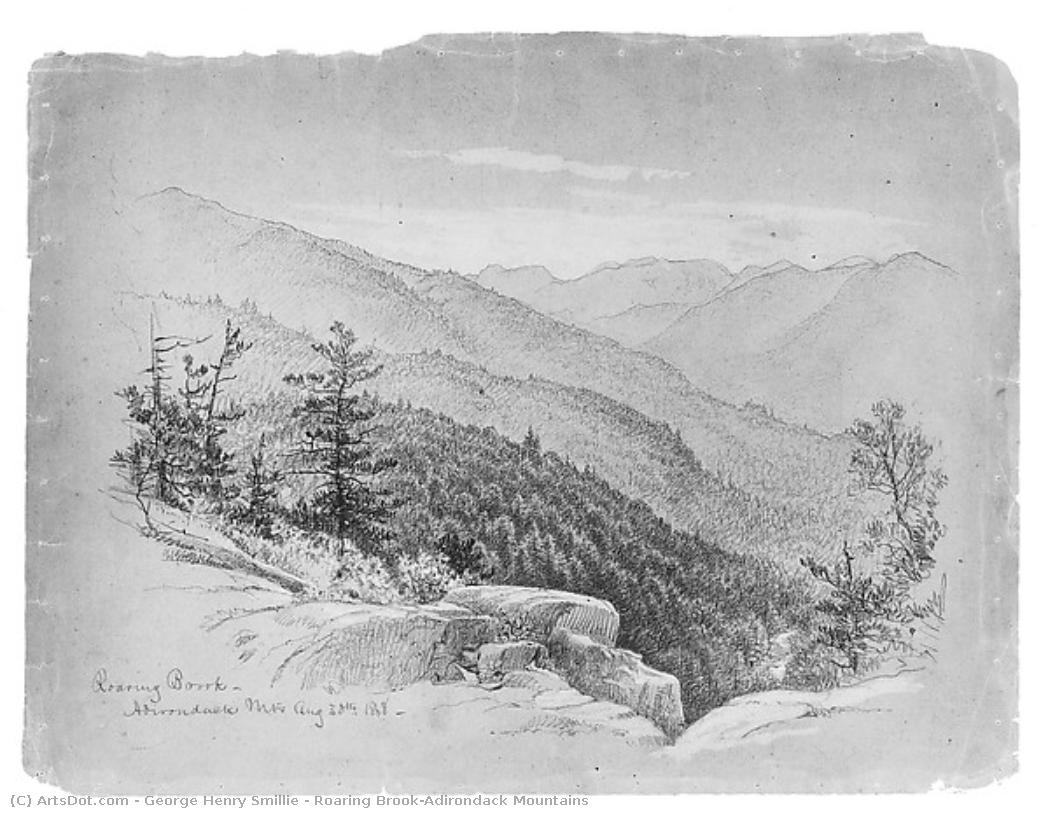 Roaring Brook-adirondack Mountains — George Henry Smillie