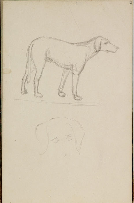 Study, Dog — Thomas Cole