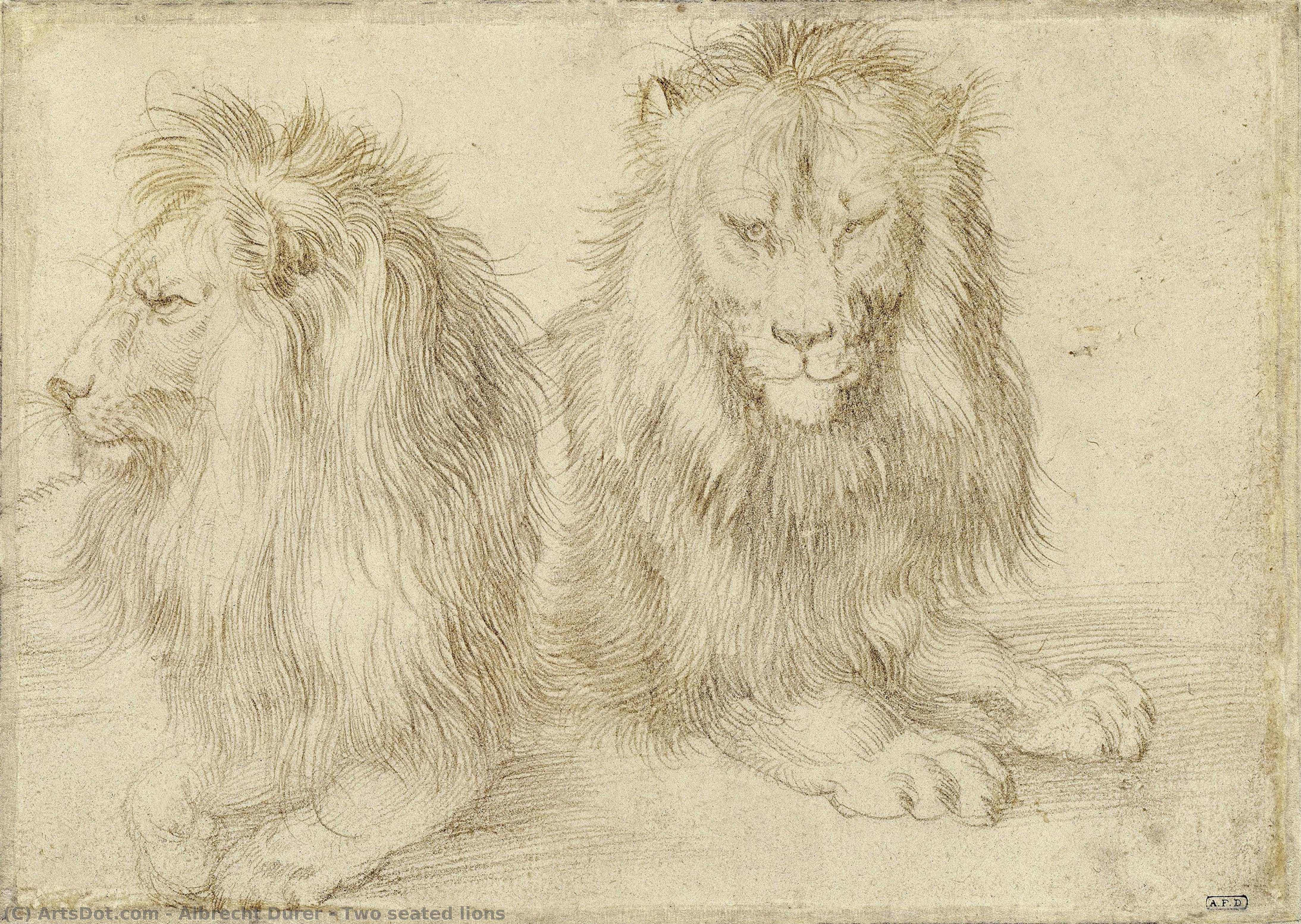 Two Seated Lions — Albrecht Dürer