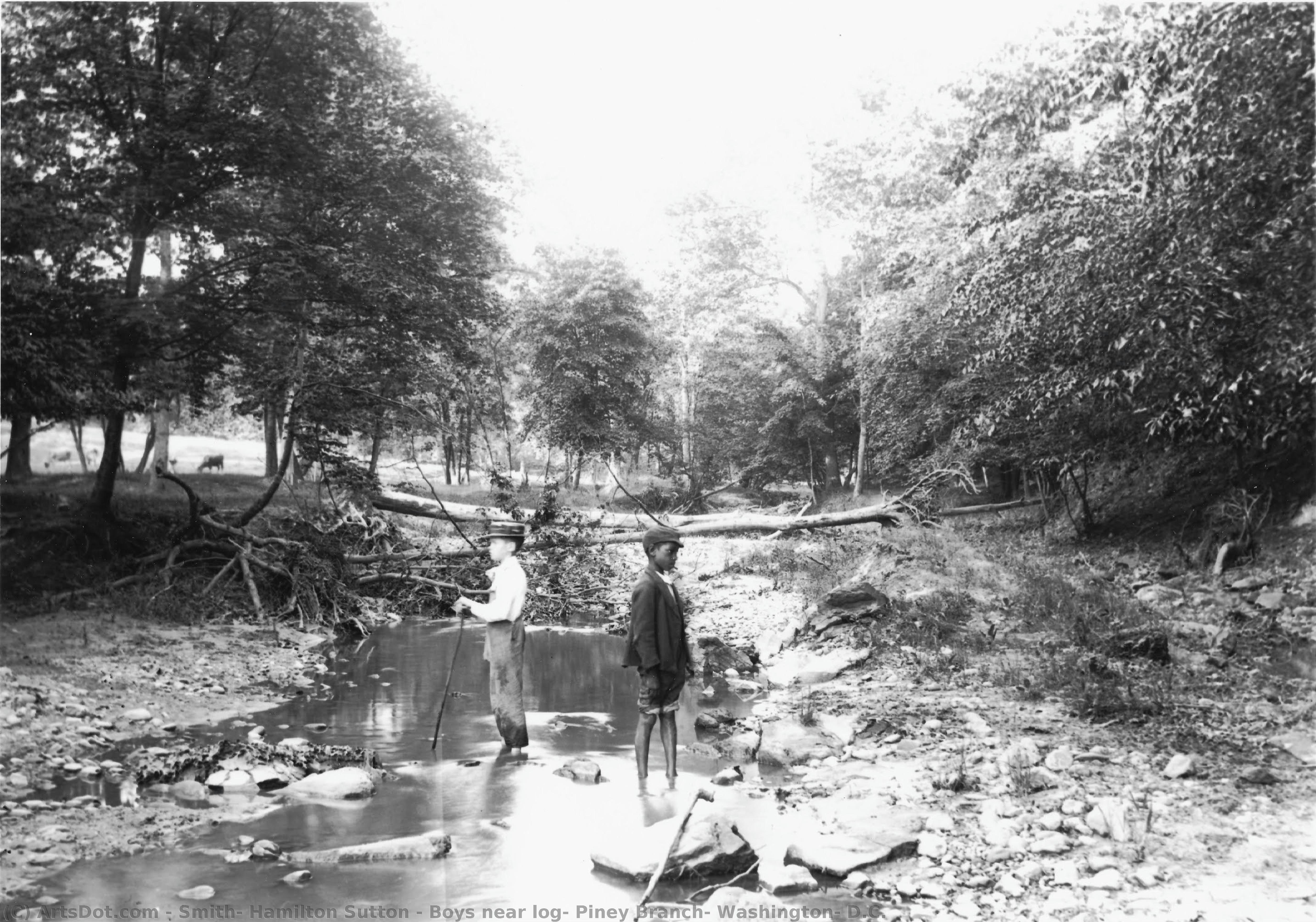Boys Near Log, Piney Branch, Washington, D.c. — Hamilton Sutton Smith