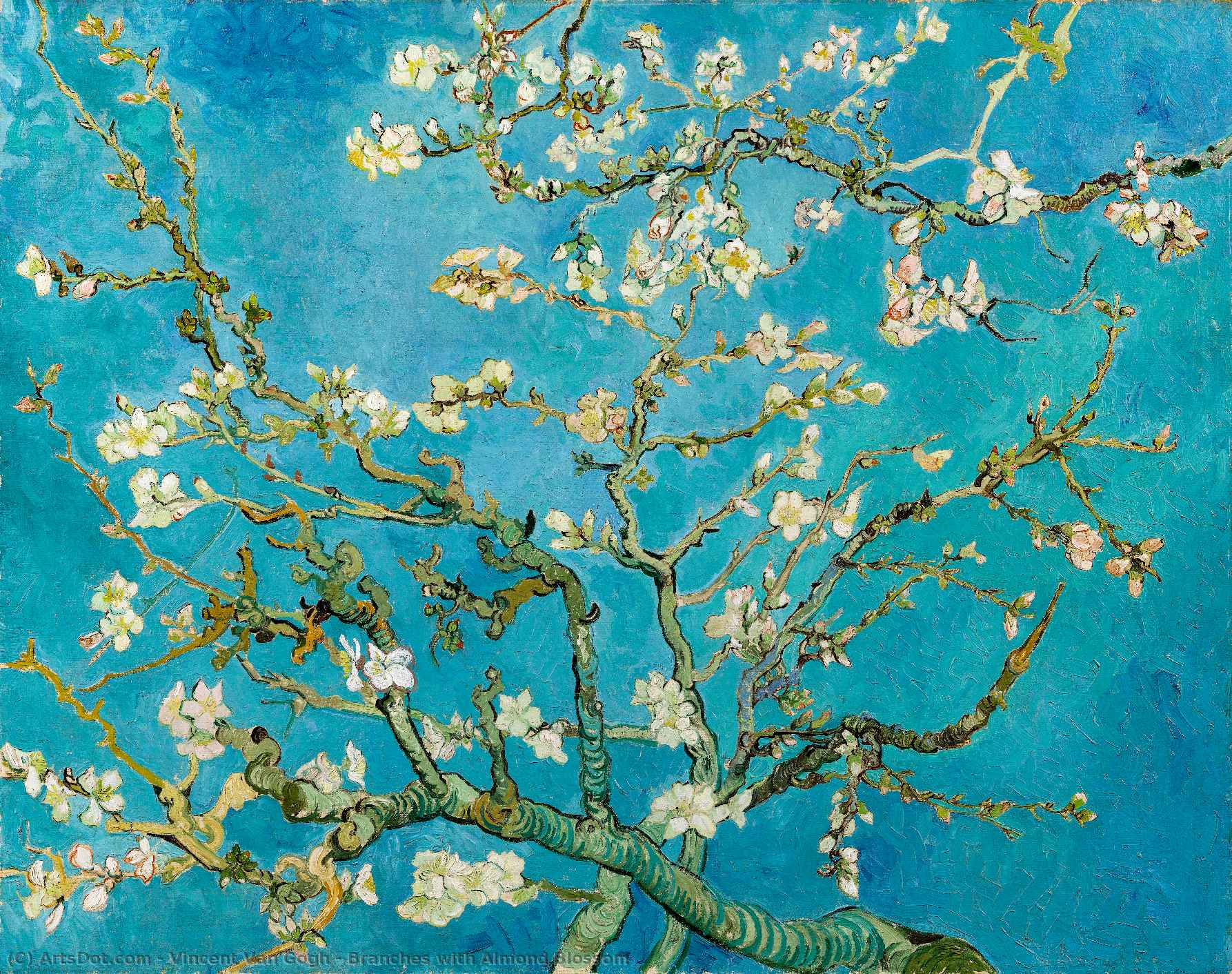 Branches With Almond Blossom — Vincent Willem Van Gogh